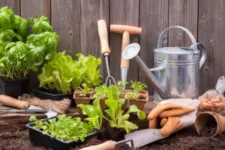 Your garage is ideal place to start your spring seedlings