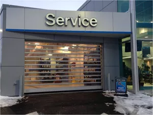 Service Overhead Door
